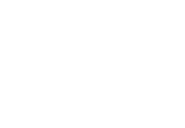 Swiss Life Logo
