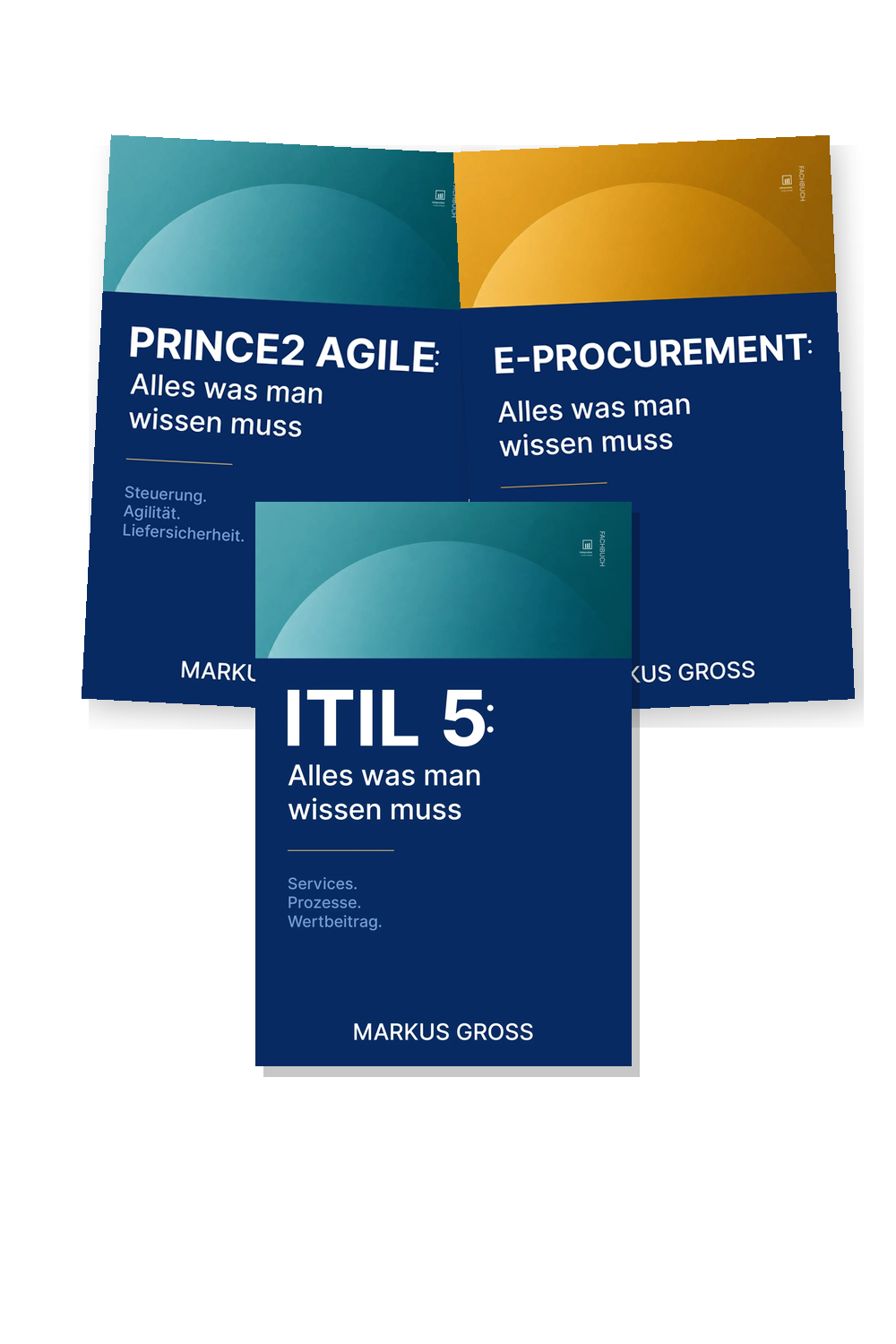 IT-Management, Projekte & digitale Prozesse